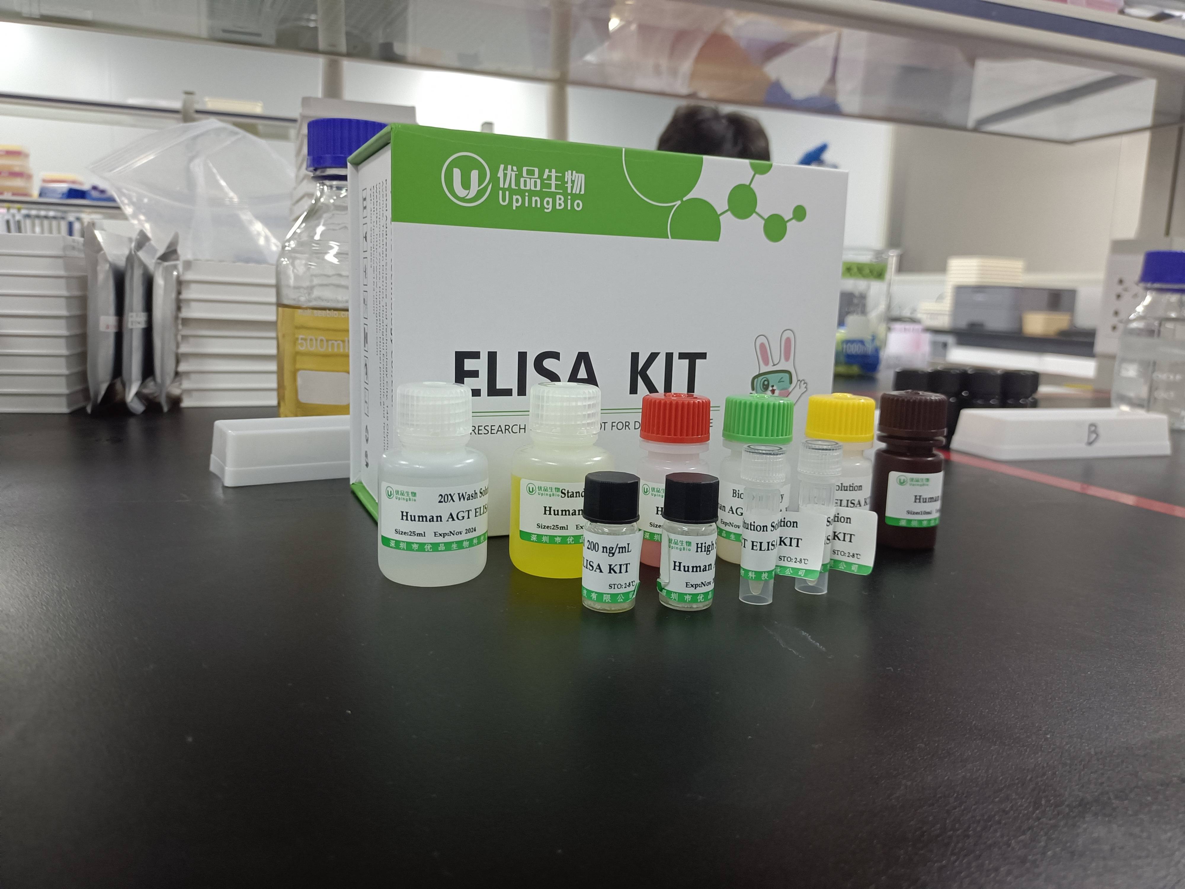 广州生物试剂市场动态一览