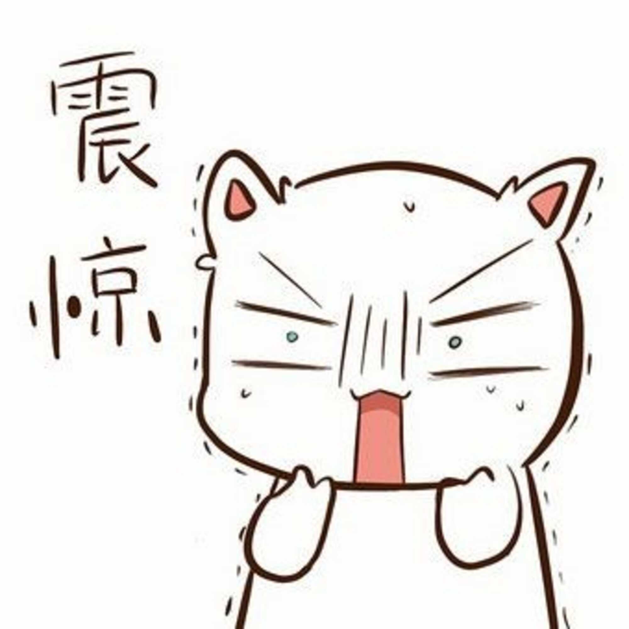 华为nova13直接掀桌了中端机们瑟瑟发抖