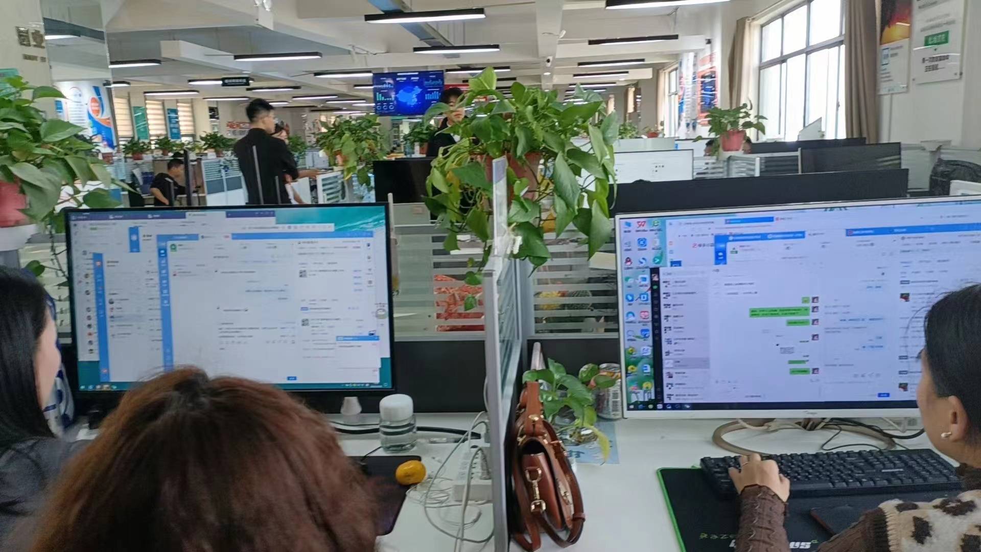 小县城轻创业之电商客服外包,低成本高收益_培训_团队_工作