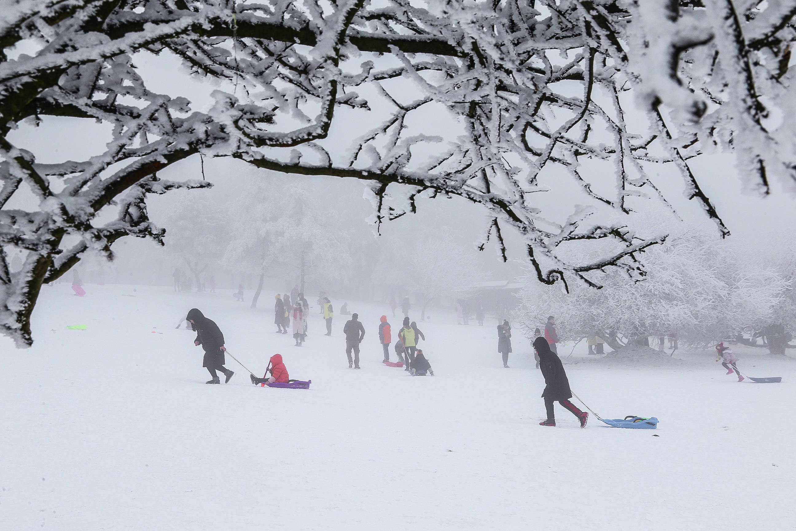 2016重庆主城下雪图片