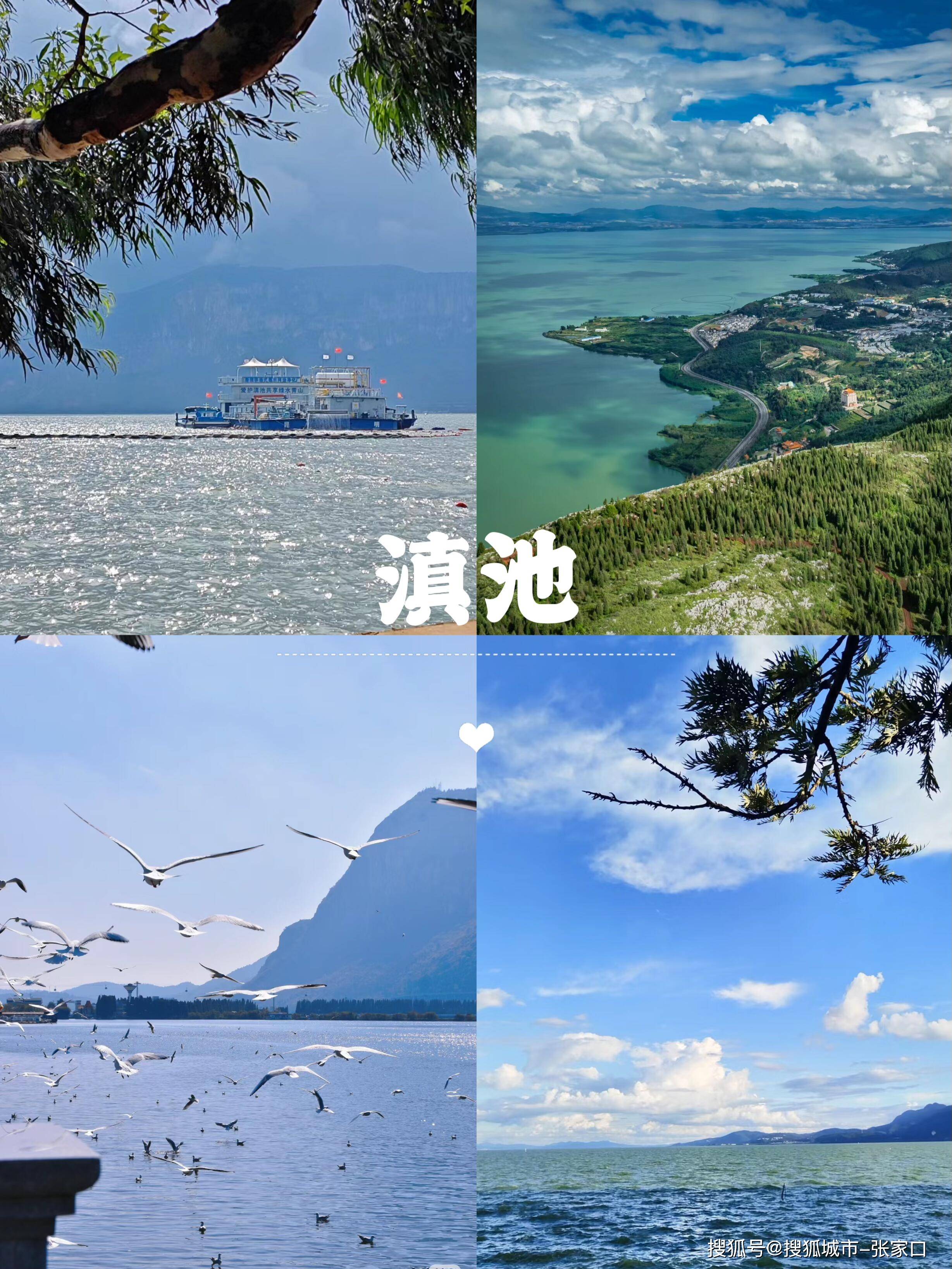 云南旅游攻略5天4晚要多少钱,云南参加当地纯玩团5日游大概花费_苏苏_旅行_古城