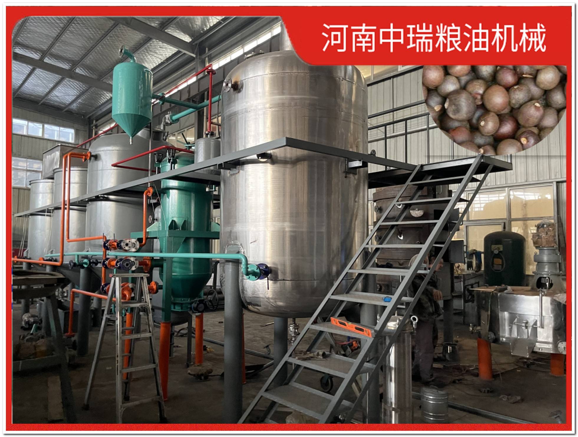 150吨花生油榨油机茶油榨油机流水线加工厂需要什么设备