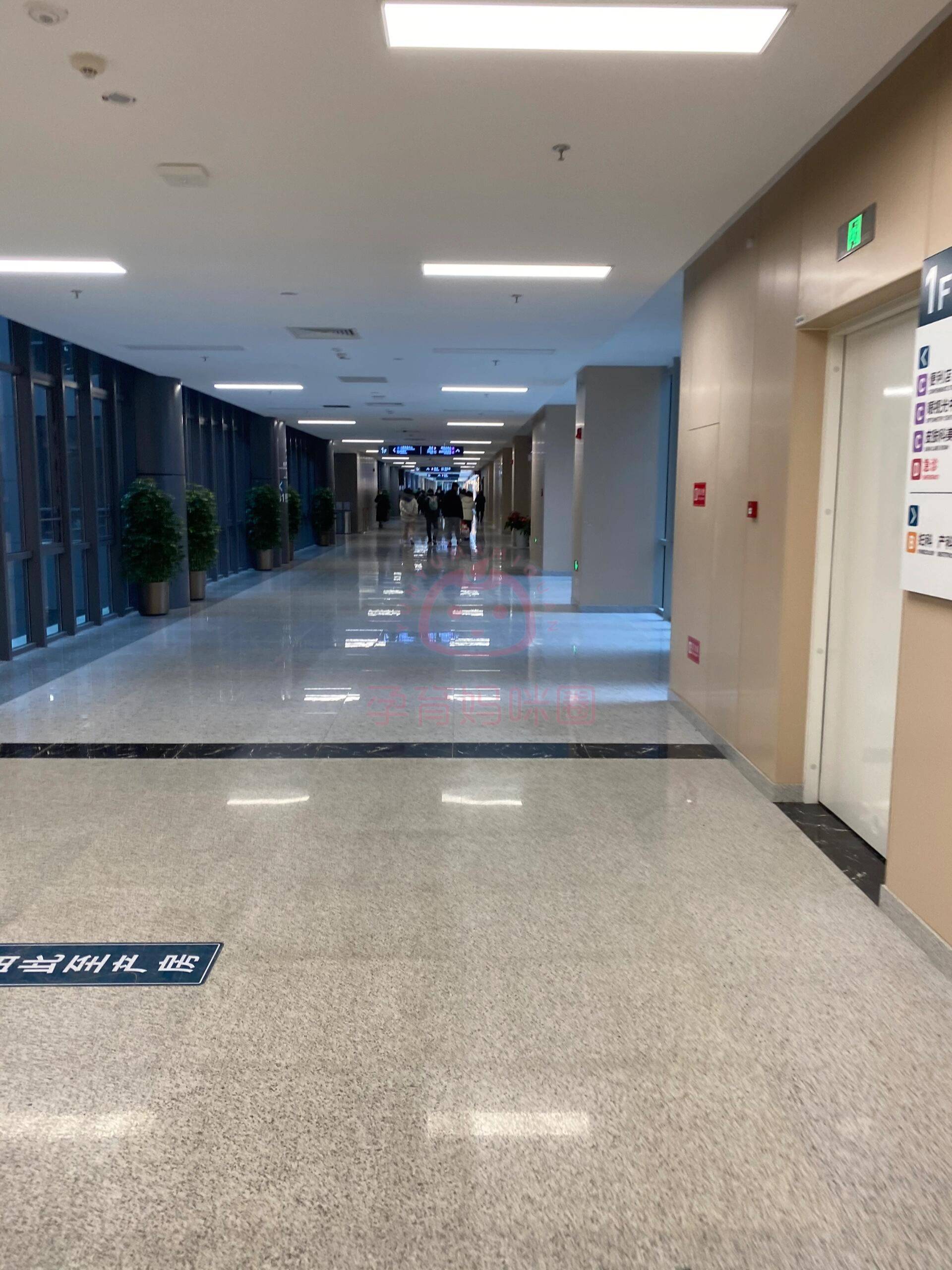 包含北京儿童医院医院的历史由来代挂陪诊就医的词条