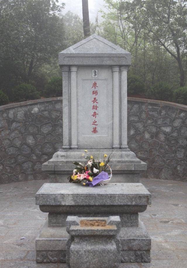 由团长变囚犯,后来上司被枪毙,他又由副手转正职_廖龄奇_张灵甫