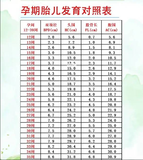 36周胎儿各项标准值图片