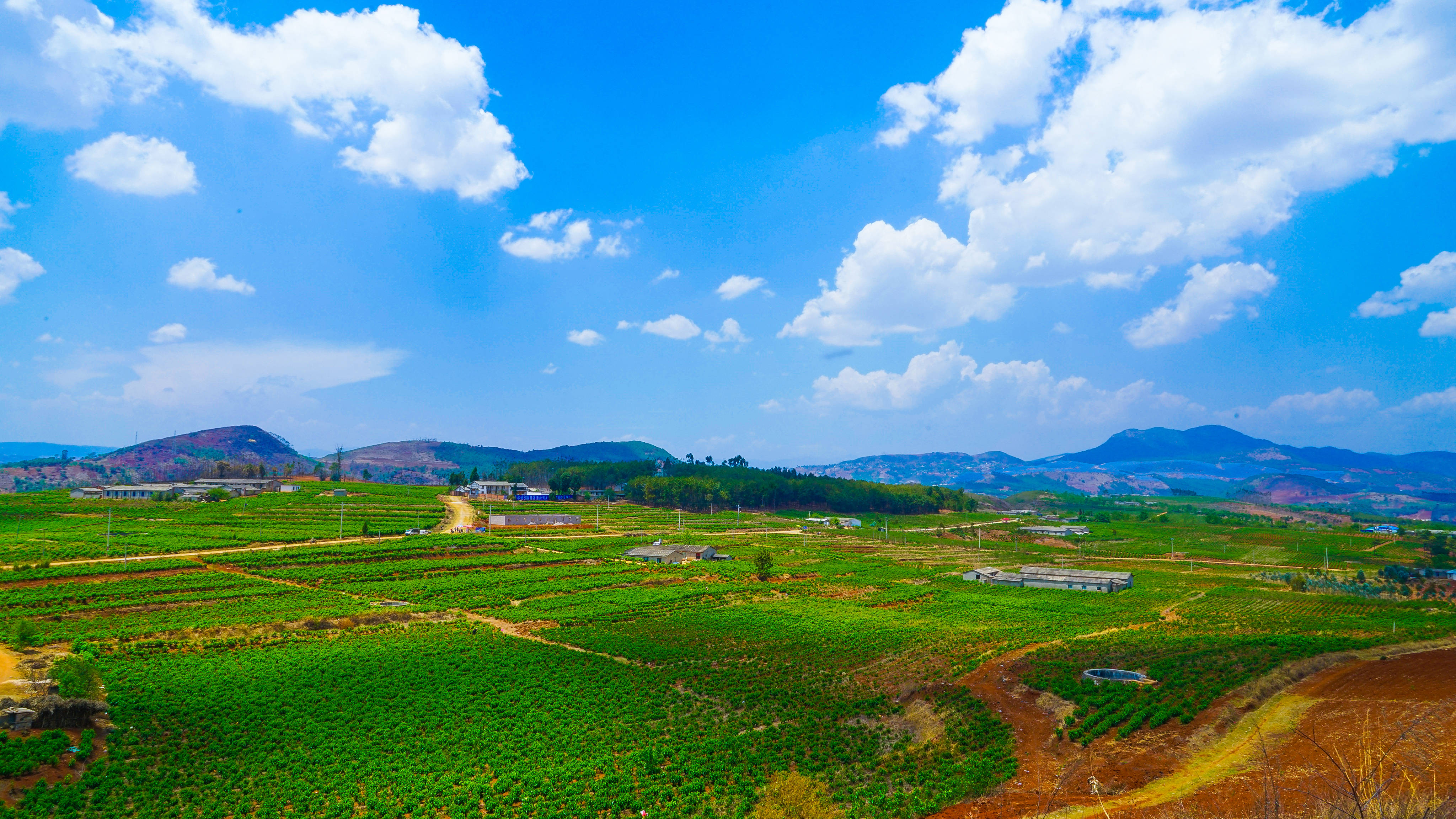 隆阳西邑:万亩桑园千担茧 富民兴村新"丝路"