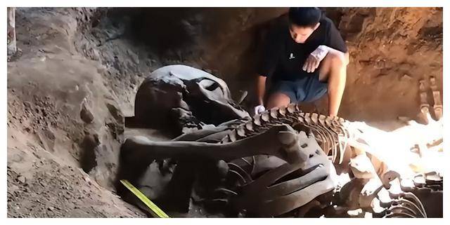 考古发现:史前巨人族的神话传说,并非完全无稽之谈