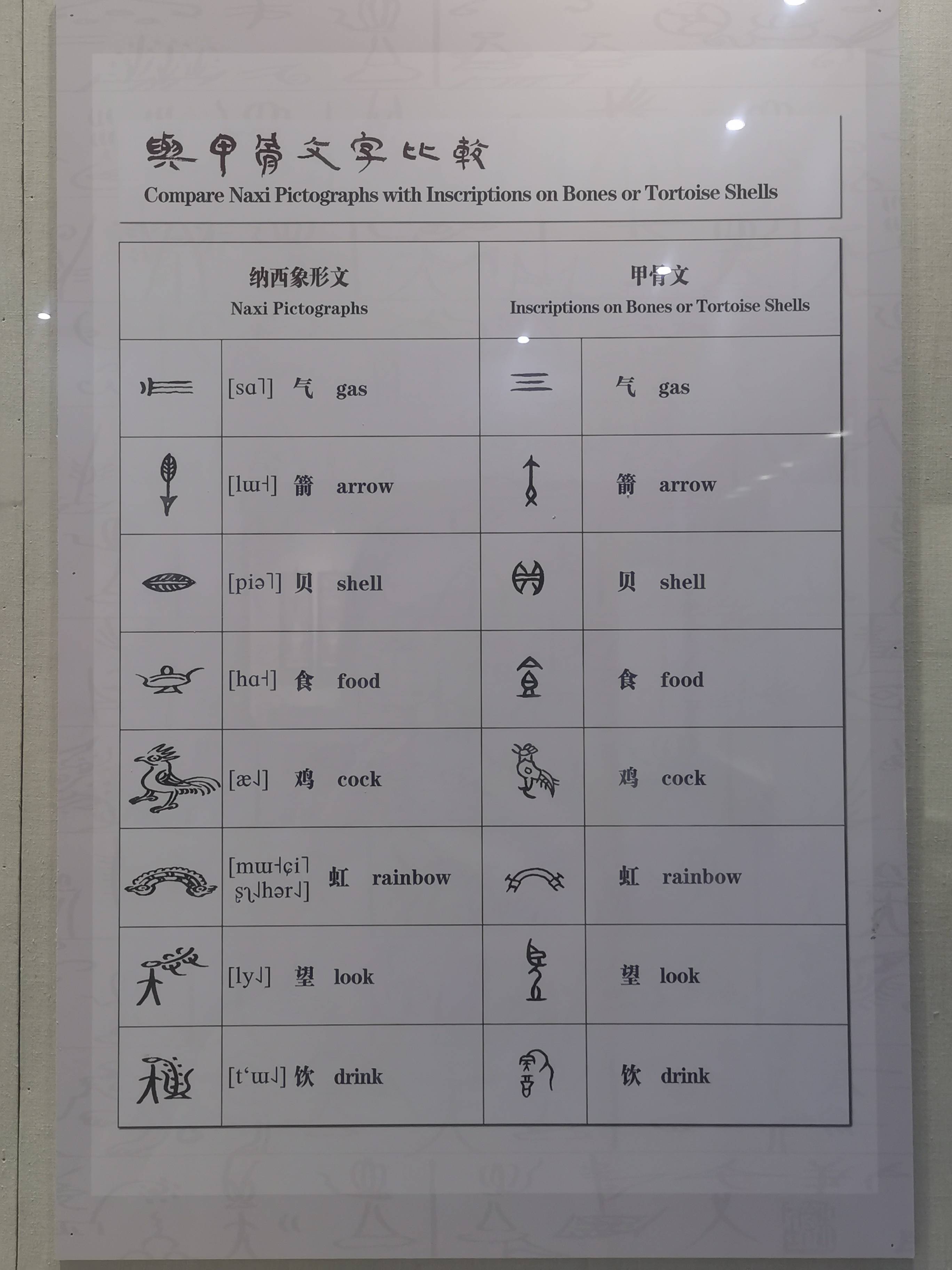 东巴文化简介图片