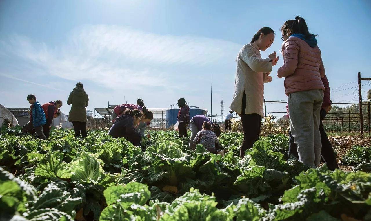 csa农场综述"只要功夫深,铁杵磨成针",由此看来不管是什么行业,只要