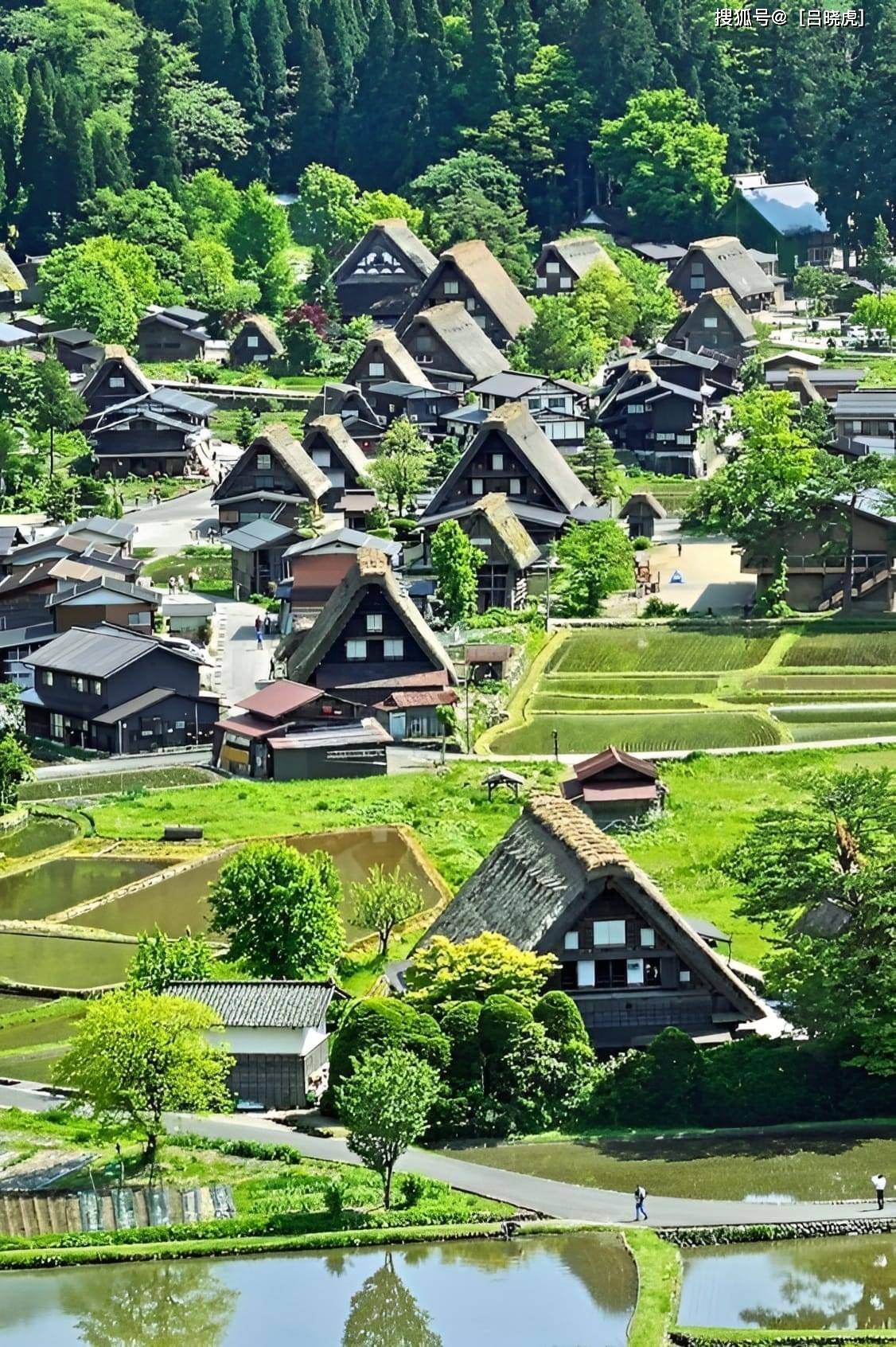 日本中部小众漫游