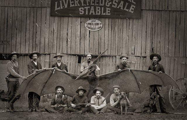 翼龙不是早已灭绝了吗？为何1864年美国人却抓到一只翼龙并拍下了照片？-华闻时空