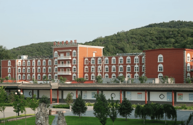包含北京市海淀婦幼保健院"同仁醫院黃牛掛號電話",的詞條