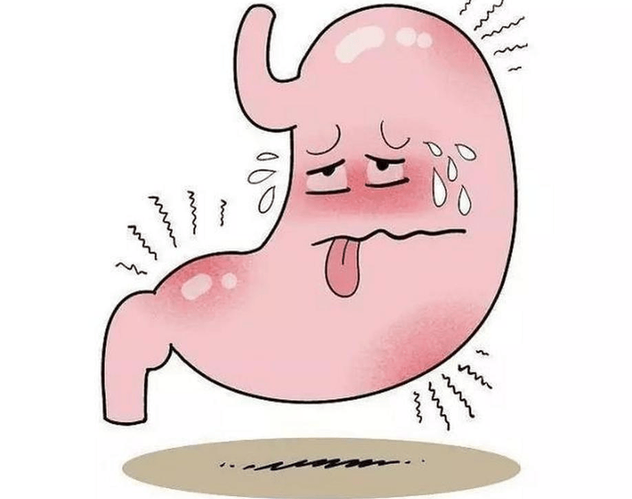 胆囊痛与胃痛:精准区分,洞察健康信号