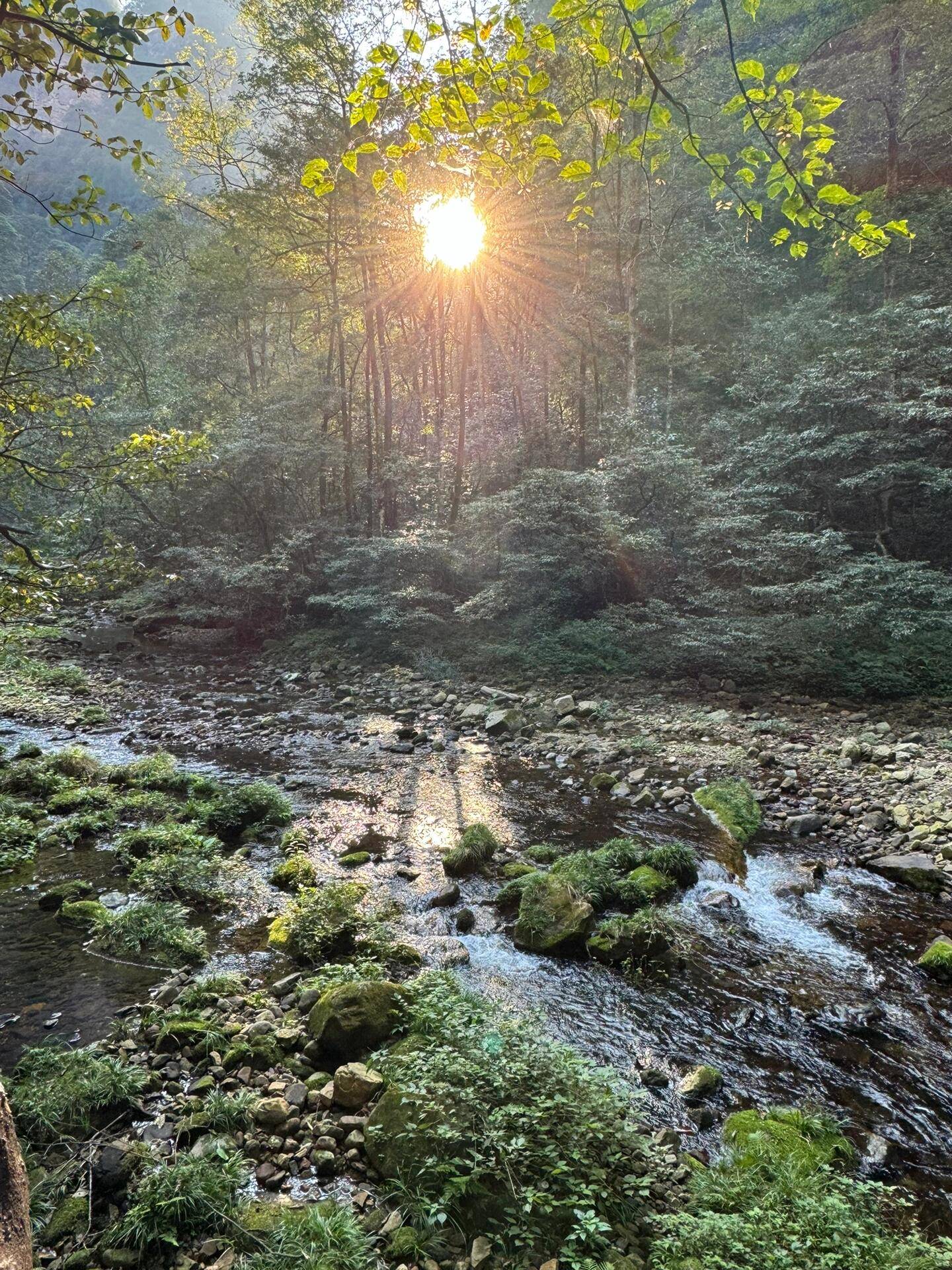 沿着溪边漫步你可以听到潺潺的流水声呼吸到清新的空气感受到大