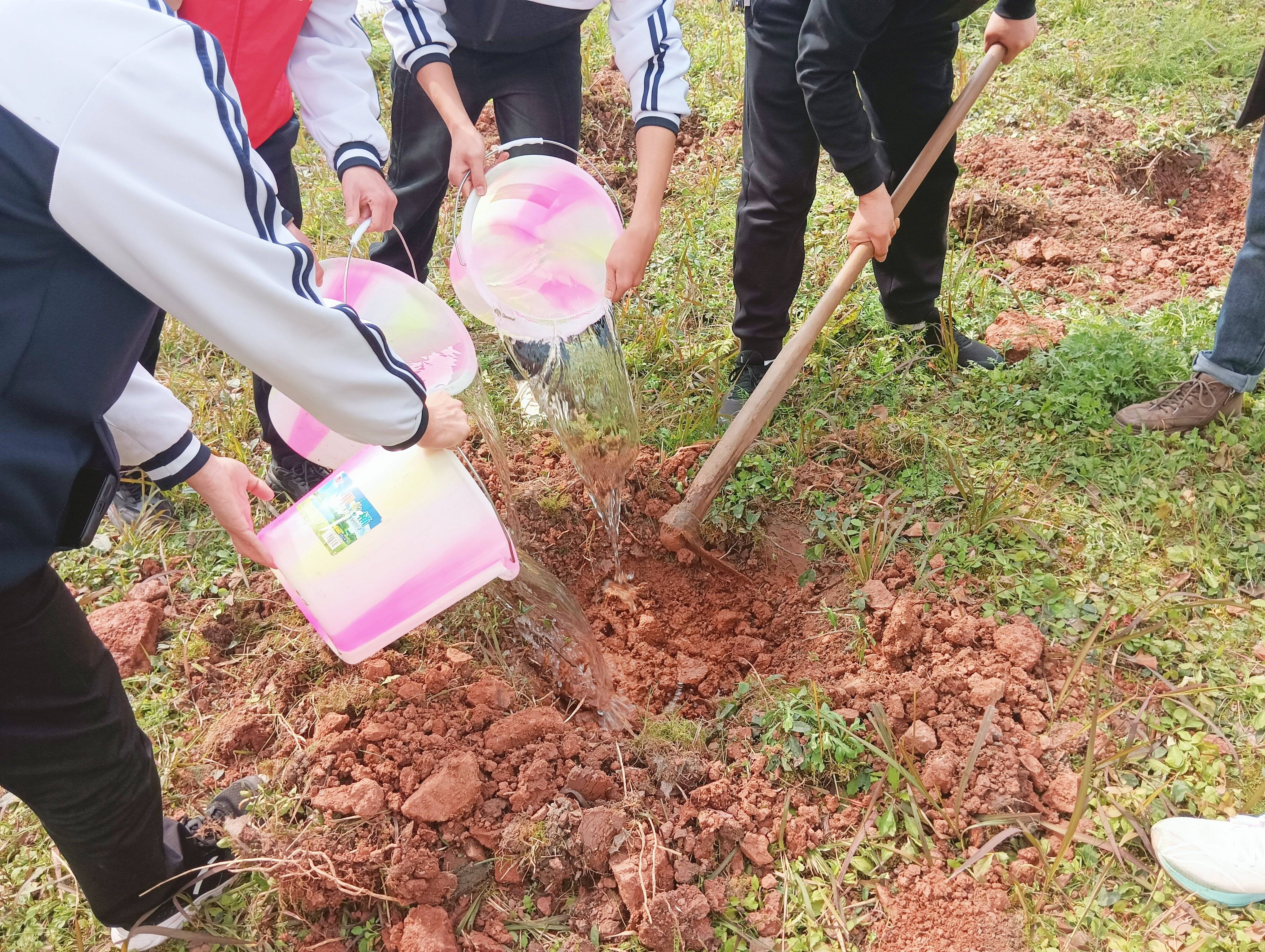让校园与生态同美丽