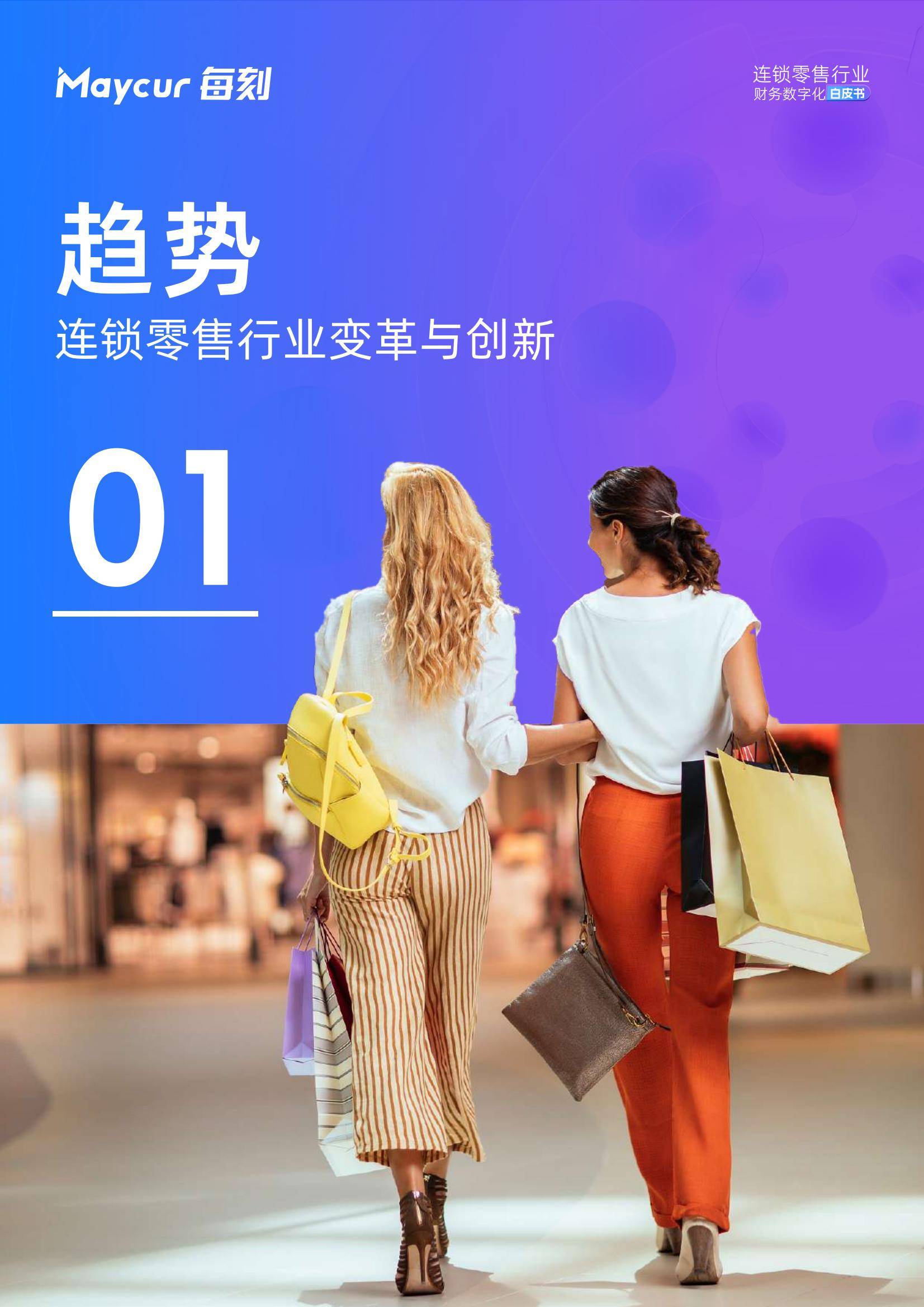 2025年连锁零售业财务转型研究报告，智能分析驱动45%企业利润增长-报告智库