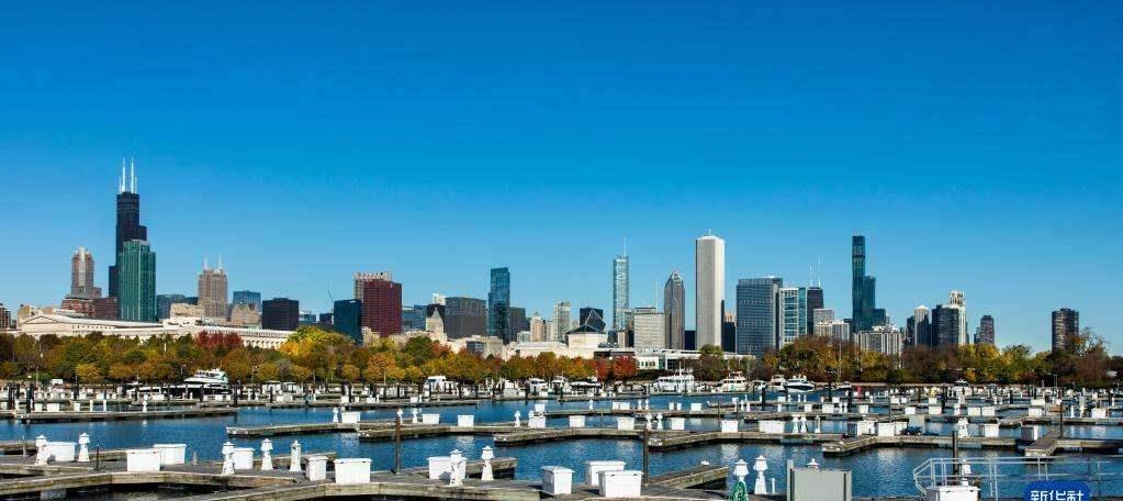 芝加哥天气在线