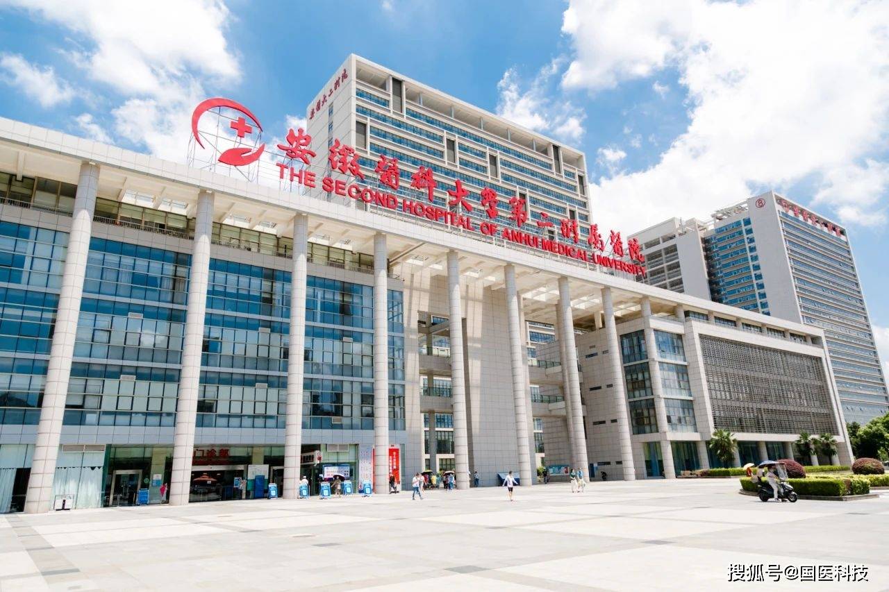 安徽医科大学第一附属医院北京看病指南必知的简单介绍