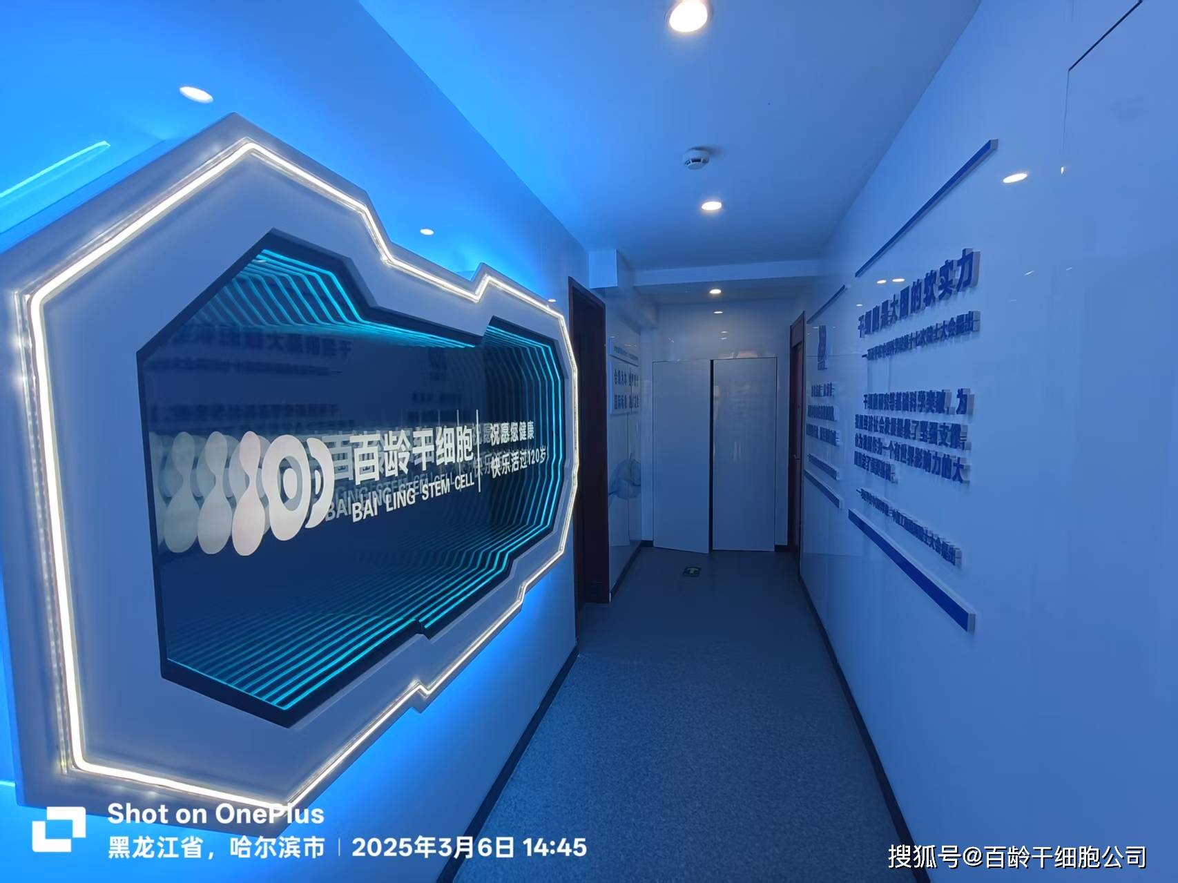 上海干细胞多少钱一只？百龄干细胞