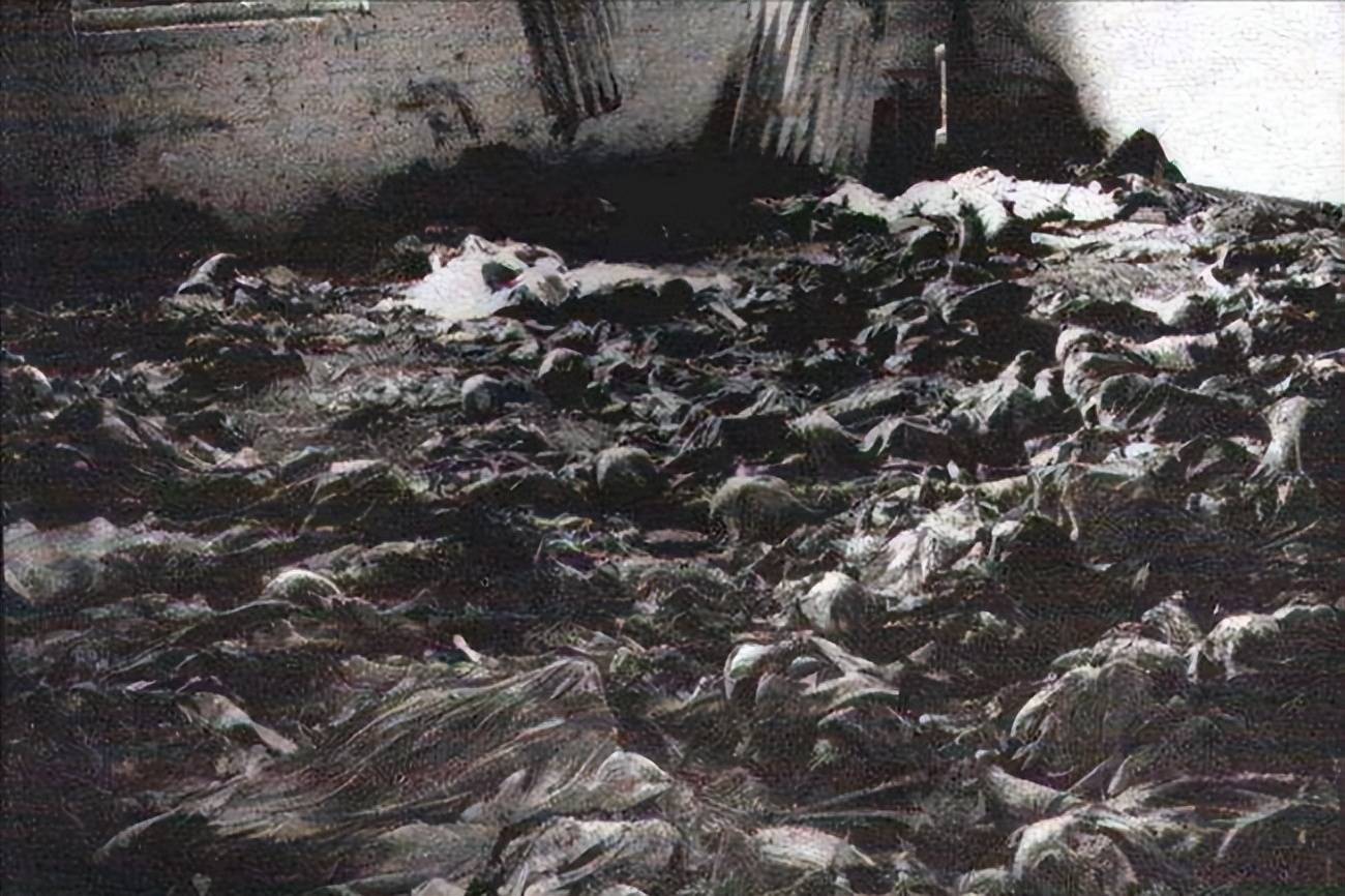 印尼恐怖排华大屠杀,30万华人被当街虐杀,无数妇女沦为待宰羔羊