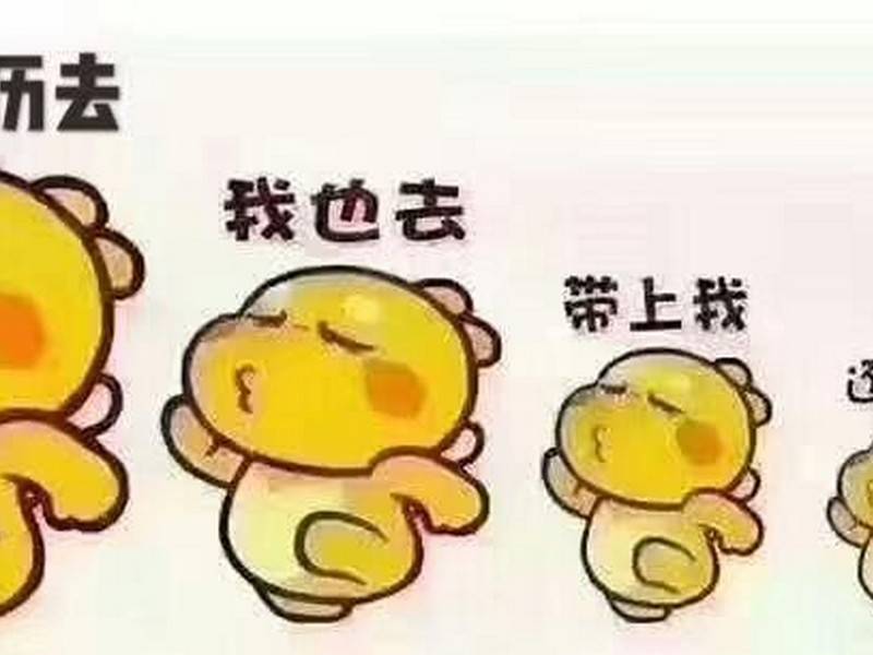 了解报名条在知识经济时代,提升自身学历成为许多职场人士的共同追求