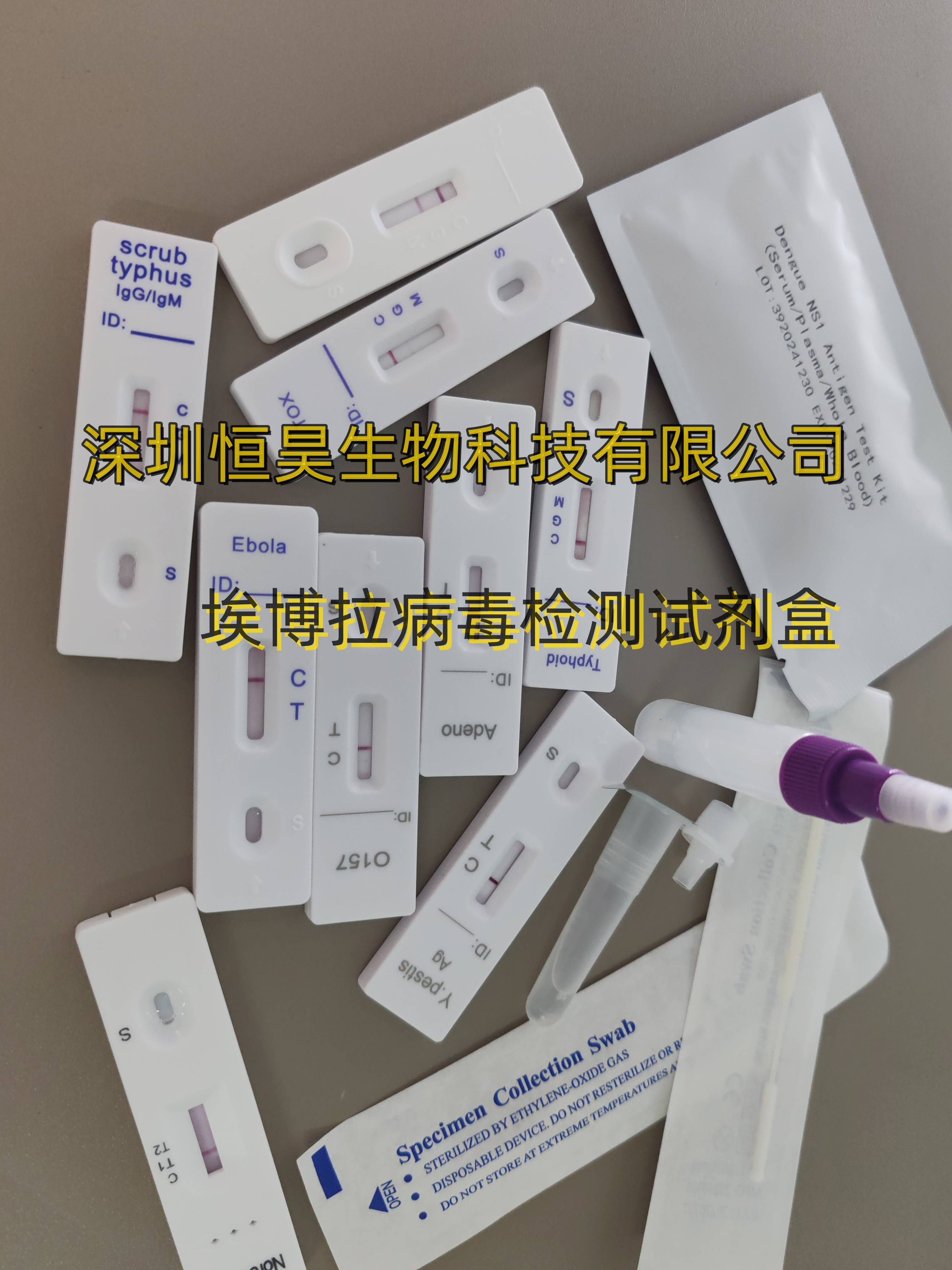 试剂盒内置的检测试纸条包被有抗埃博拉病毒特异性单克