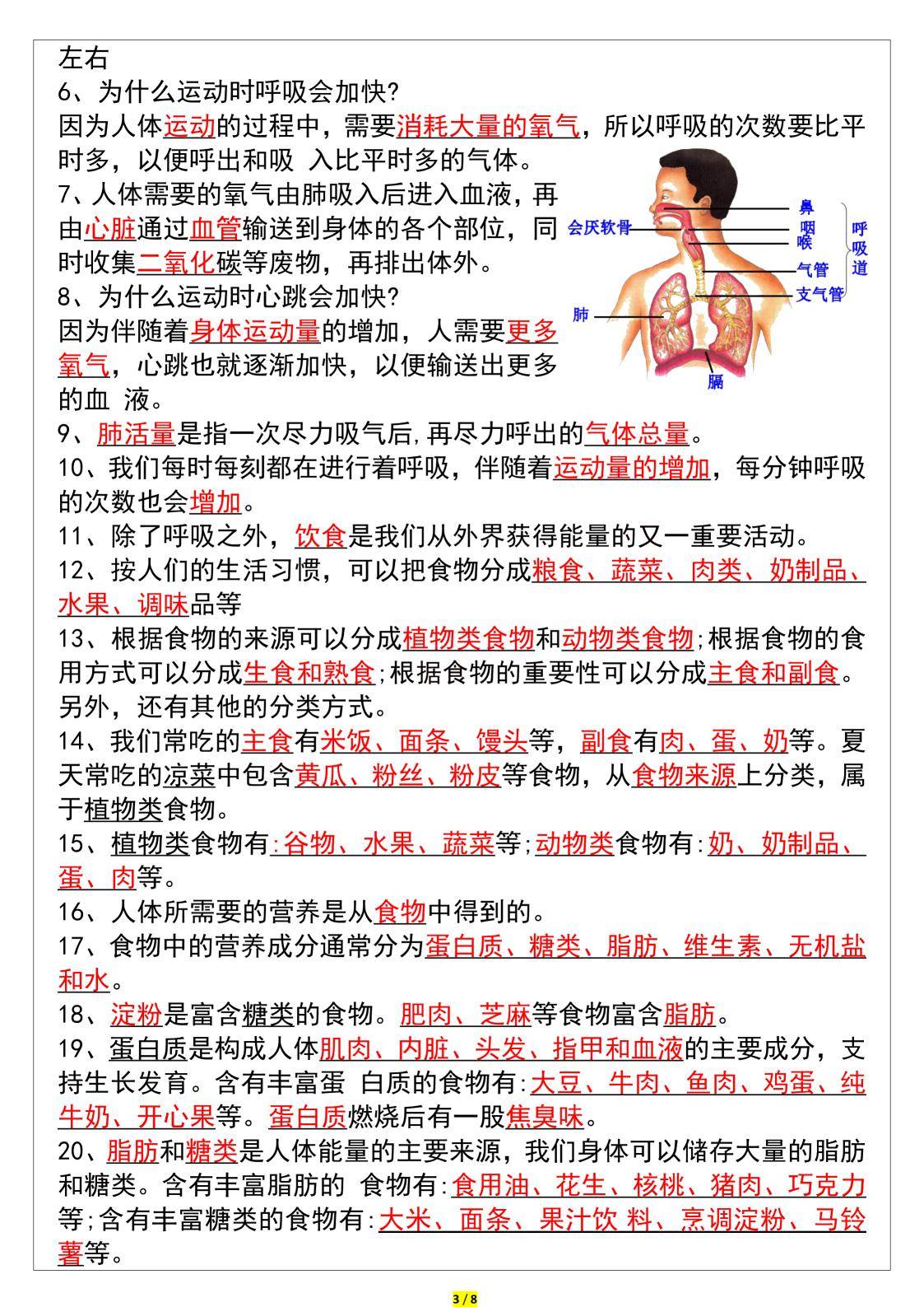四年级上册科学知识点梳理(四年级上册科学知识点归纳总结)