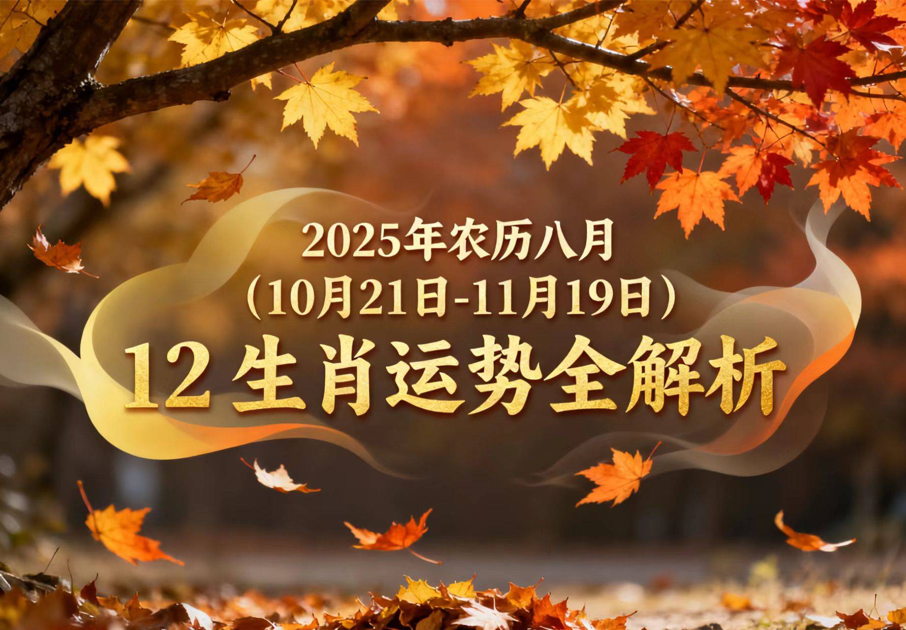 八月十号生肖运势(2021年8月10日特吉生肖运势)