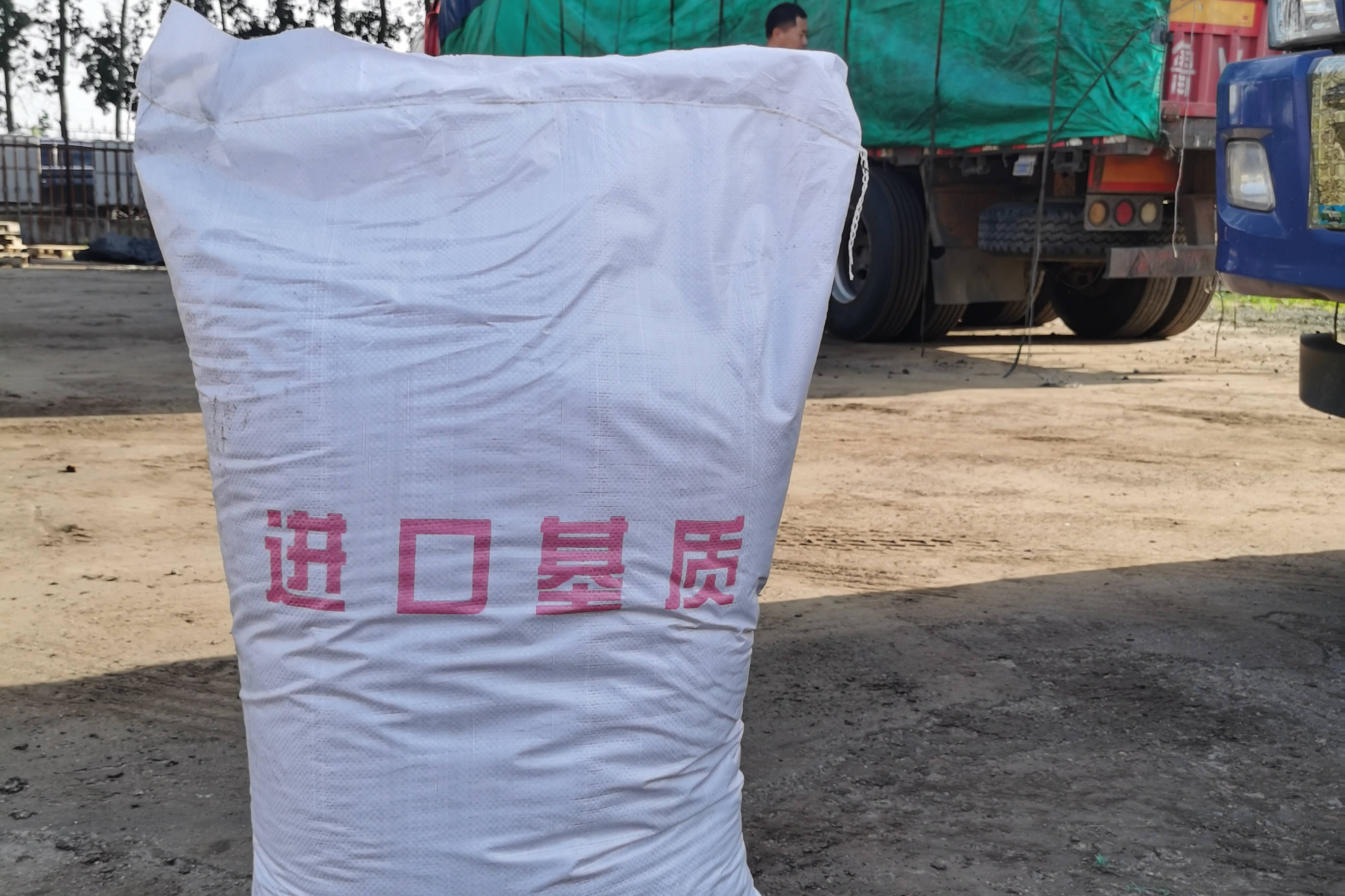 top寿光市绿田国际商贸有限公司:进口基质土/蔬菜育苗基质/蓝莓基质