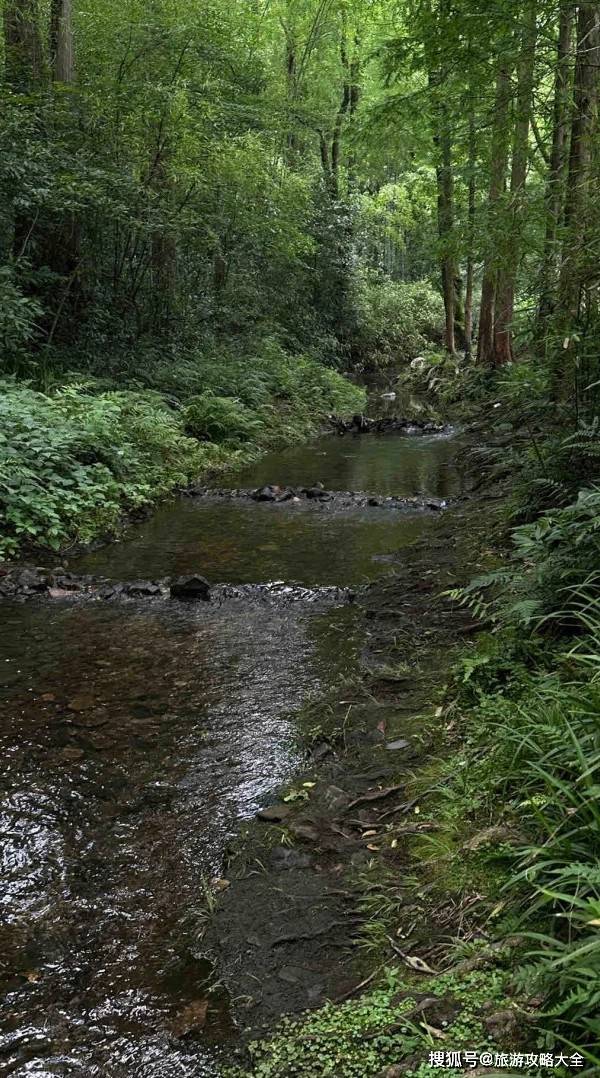 杭州三日游秘籍大公开!行程规划+预算清单,带你畅玩杭城