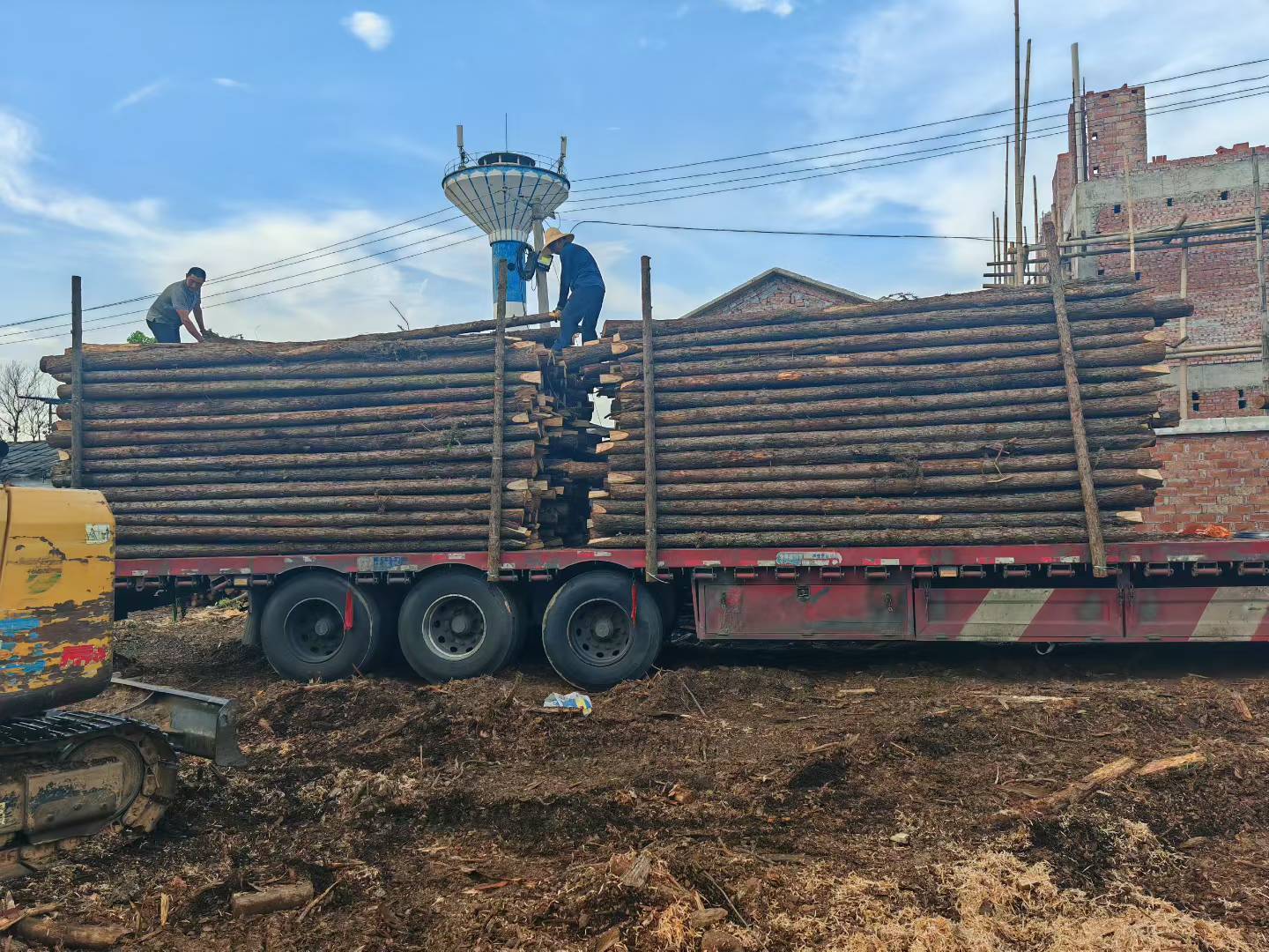 南宁松木桩采购认准长沙宁松建材,专业松木桩供应,围护桩定制,满足