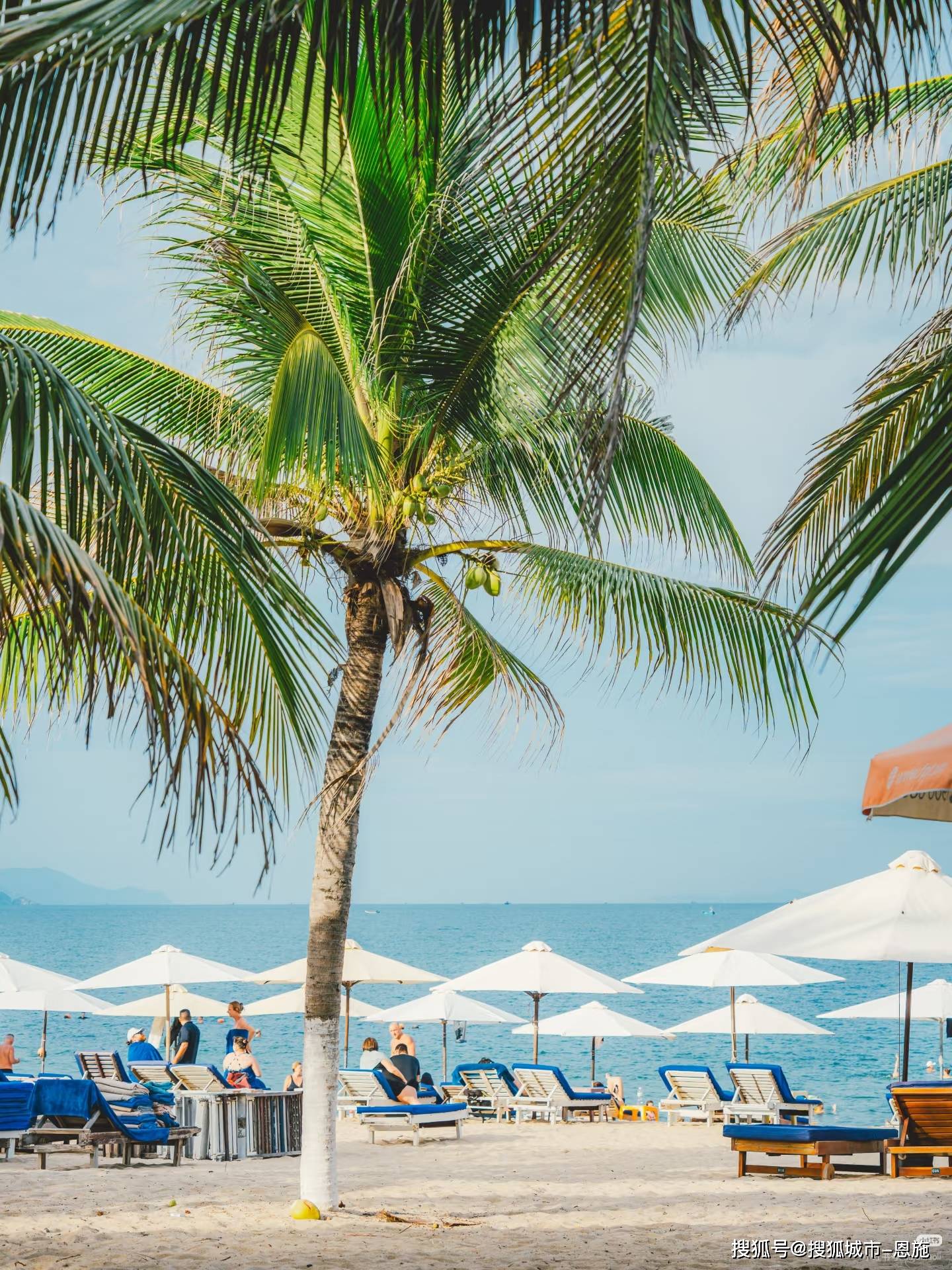 去越南芽庄仙境湾5日游路线怎么玩？史上最全越南旅游当地跟团最佳行程？_搜狐网