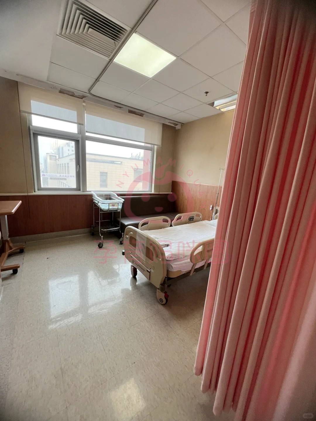 包含清華長庚醫院住院辦理陪診掛號獨自看病不孤單，全程有人陪伴的詞條