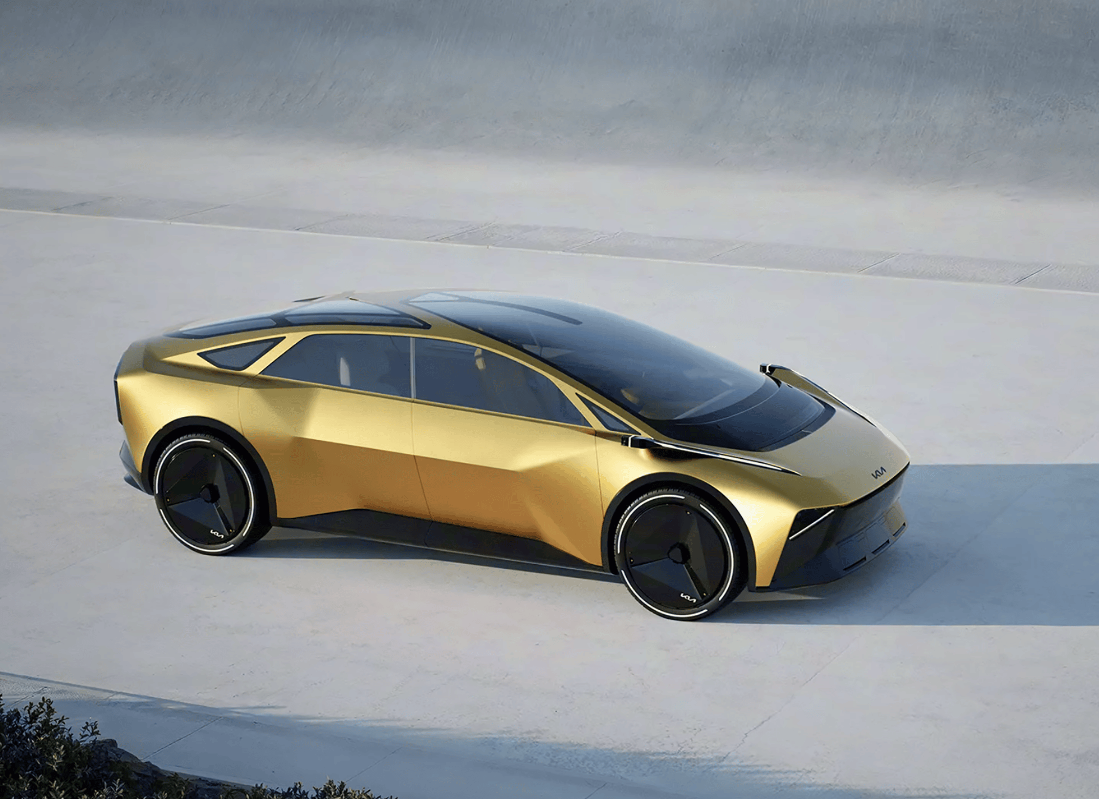 ����ȫ��EV����ǰհ δ�������������