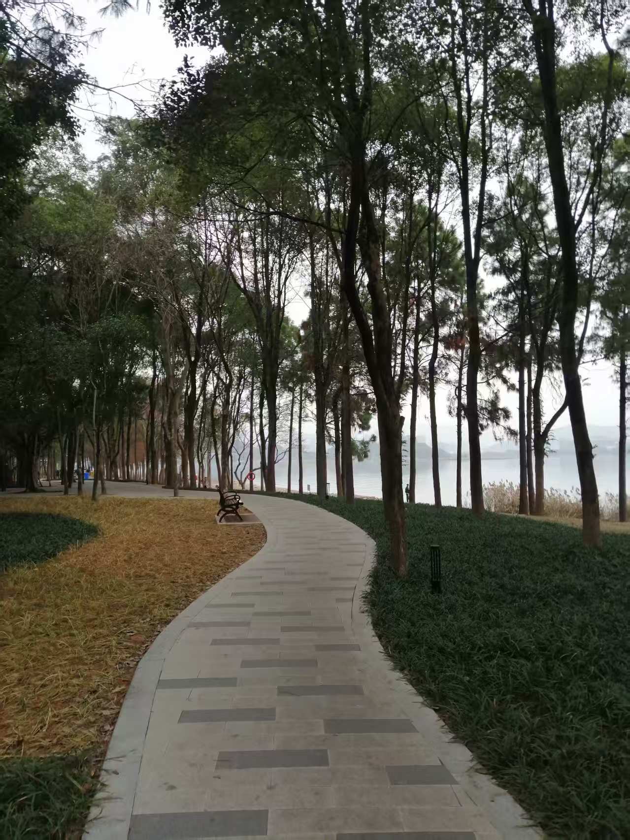 鹧鸪天 宁德南岸晨曲