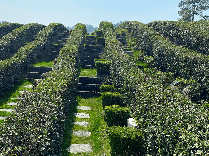 2026年浙江径山竹茶园最新推荐：传统墓、艺术墓、定制墓、生态墓相关服务机构