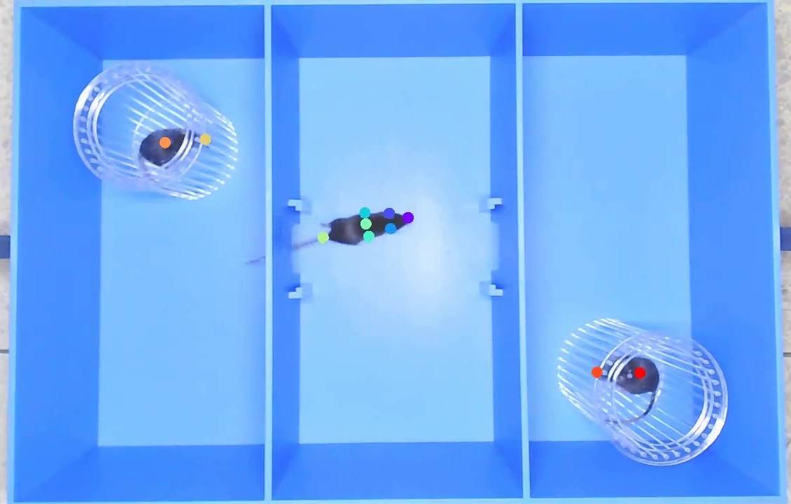ZL-AI-SX 三箱社交 .jpg