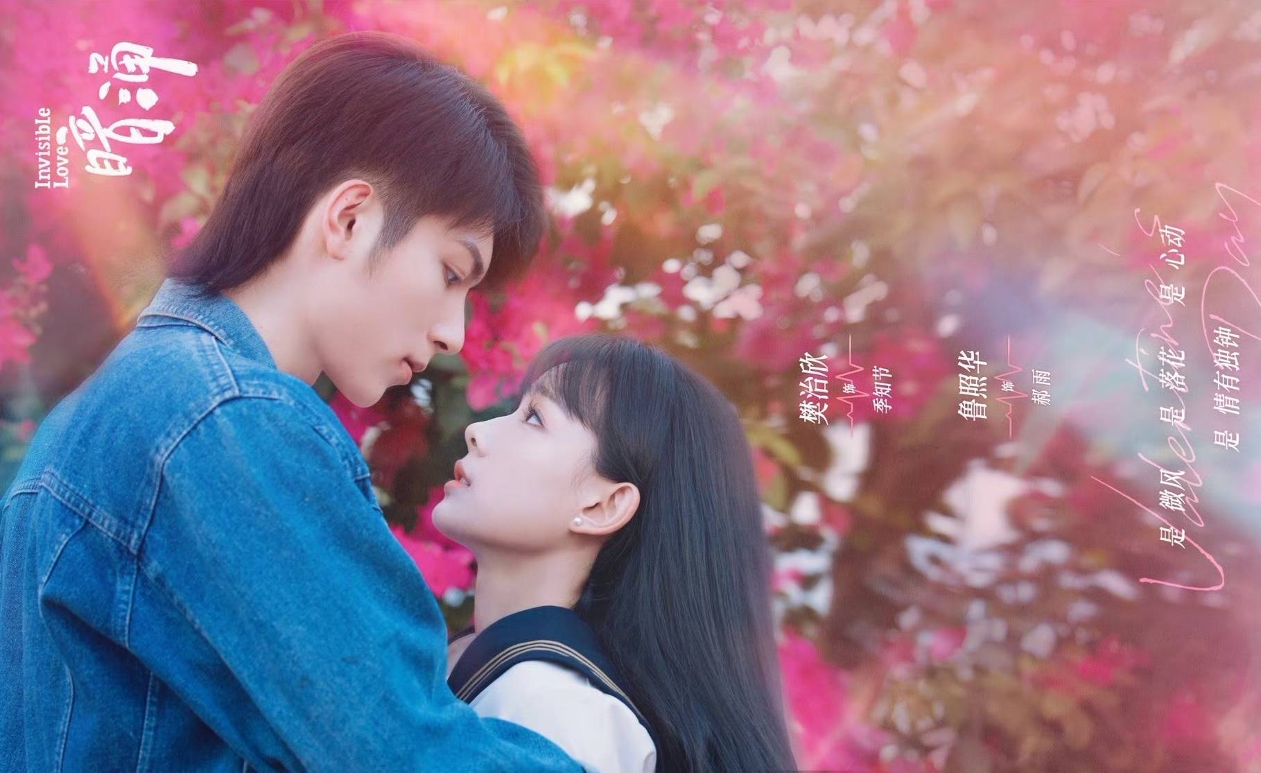 网剧《季雨倾城》定档0316,樊治欣、鲁照华主演_郝雨_类型_黑道