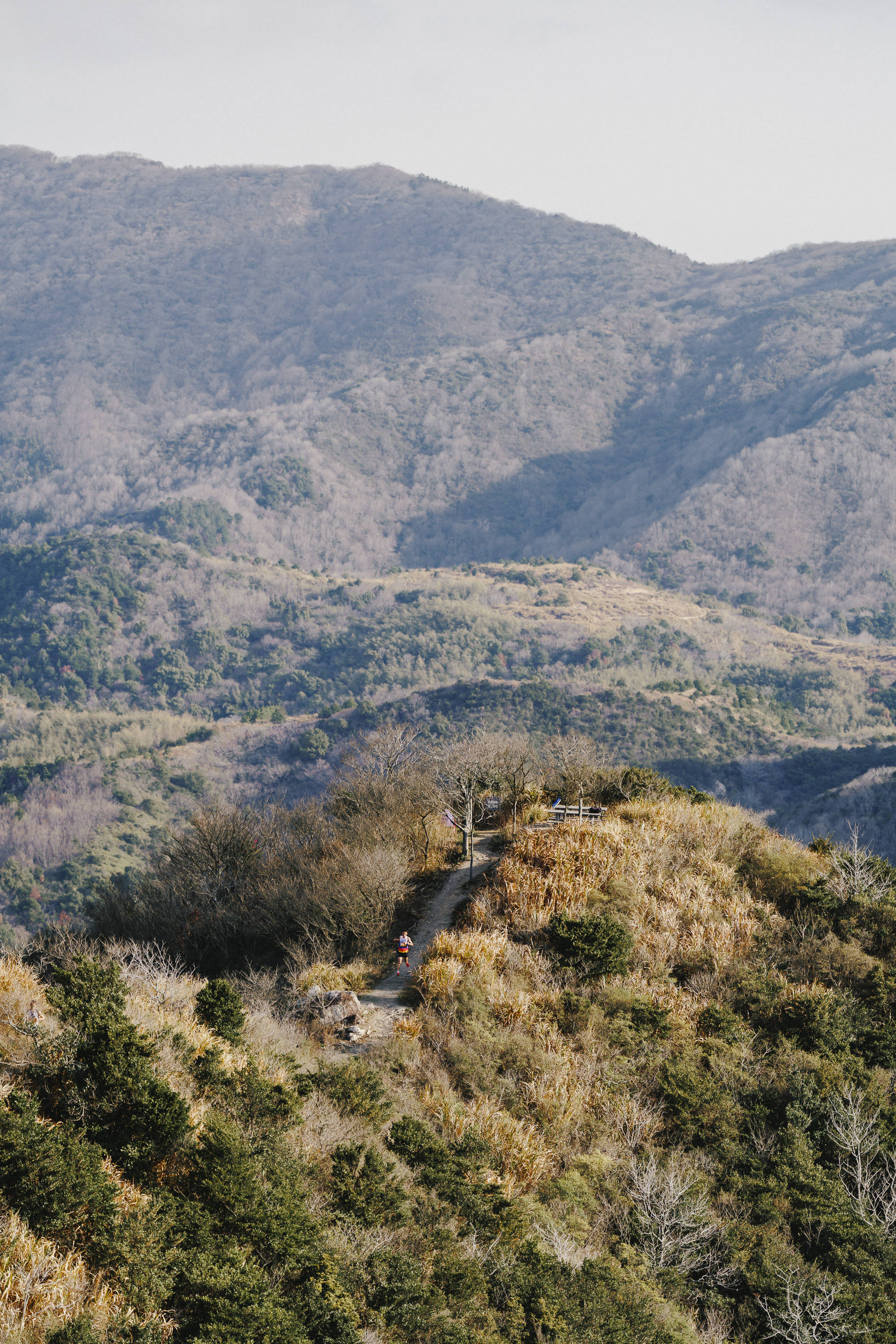 2026黄金联赛“越野东海” 赛道图.jpg
