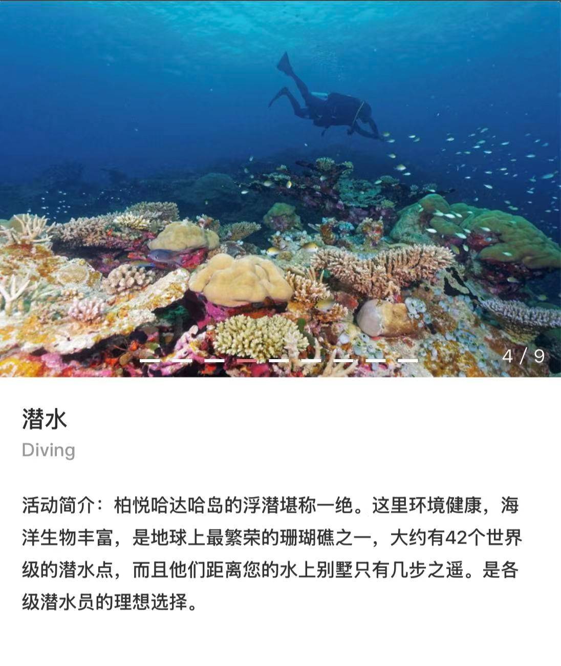 七彩选岛柏悦潜水介绍.jpg
