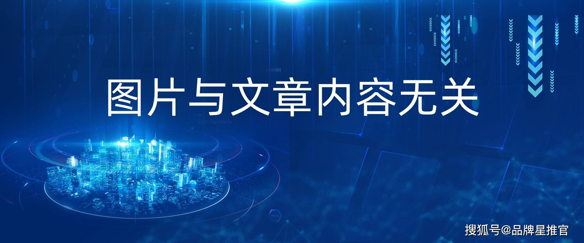 三只象素材-33.jpg