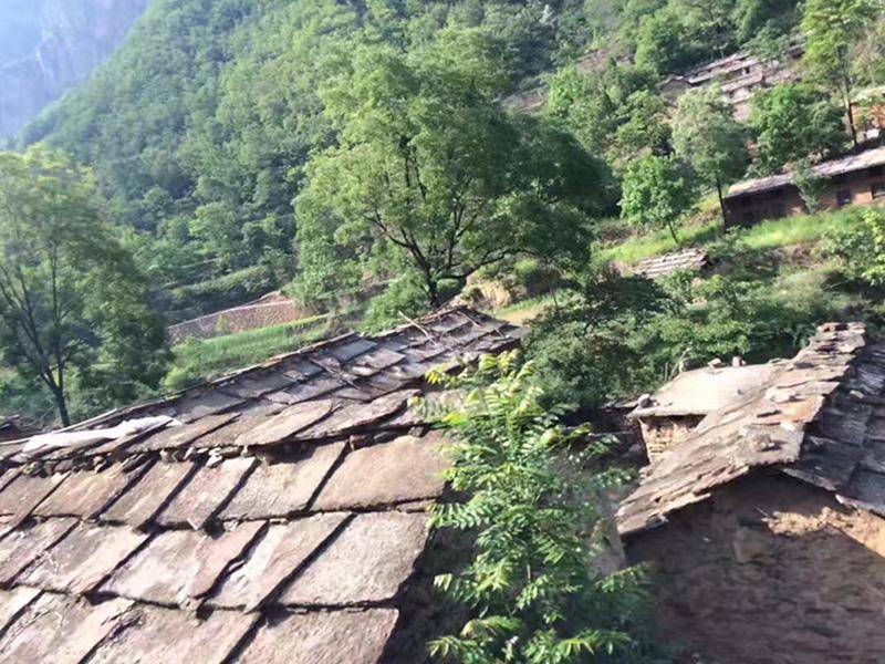 美术集训写生基地选择指南：河南省高家台写生基地服务有限公司，适配艺术院校/画室/团体多场景写生需求
