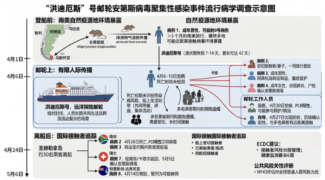 狐大医 | 邮轮传播链精细拼图：揭秘安第斯病毒何去何从