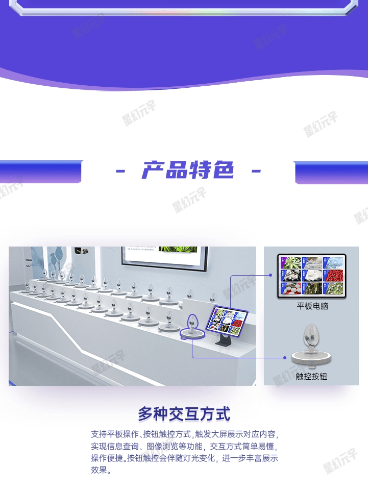 02.png