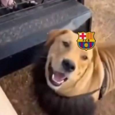 202605300208362782.jpg