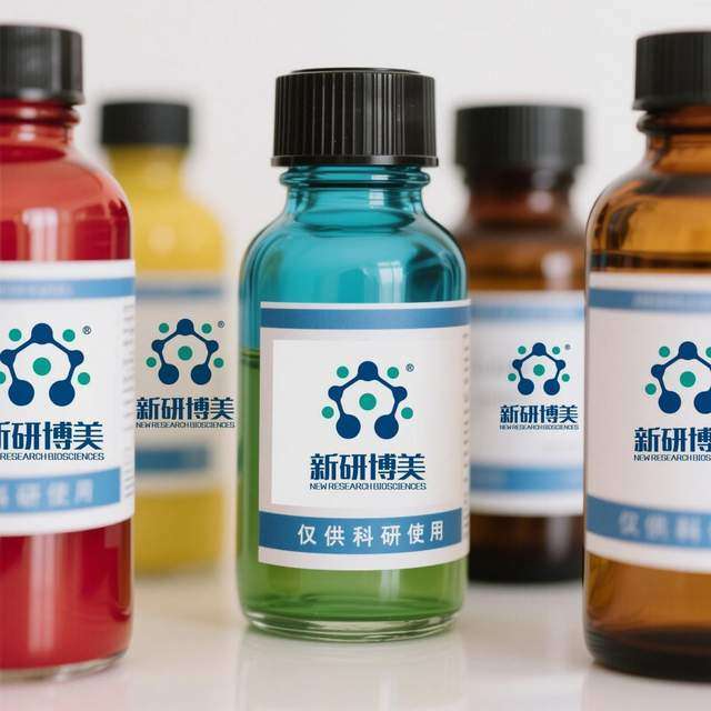 新研博美.jpg