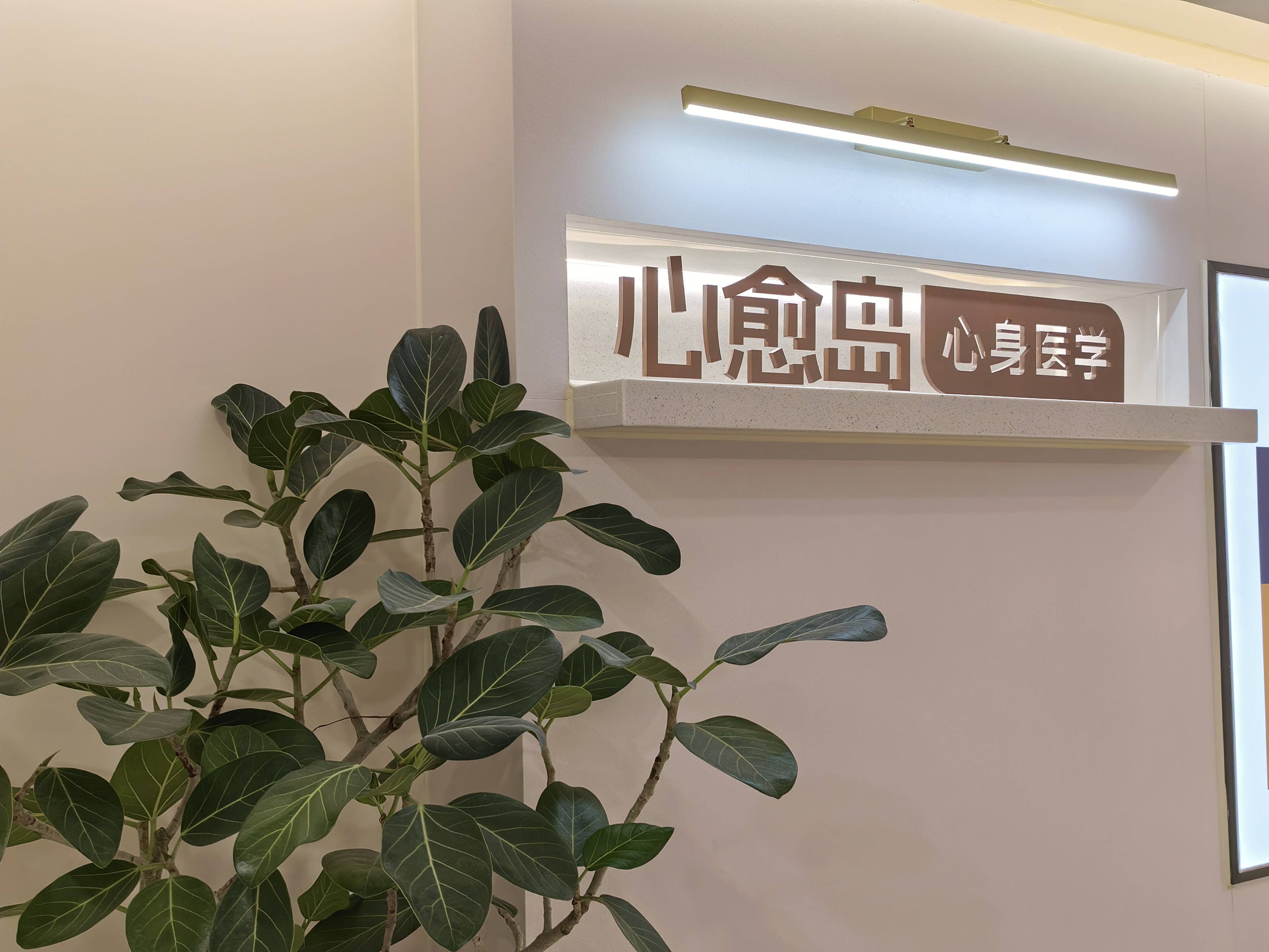 杭州青少年心理咨询机构哪家专业？青少年心理健康深度科普与选择指南