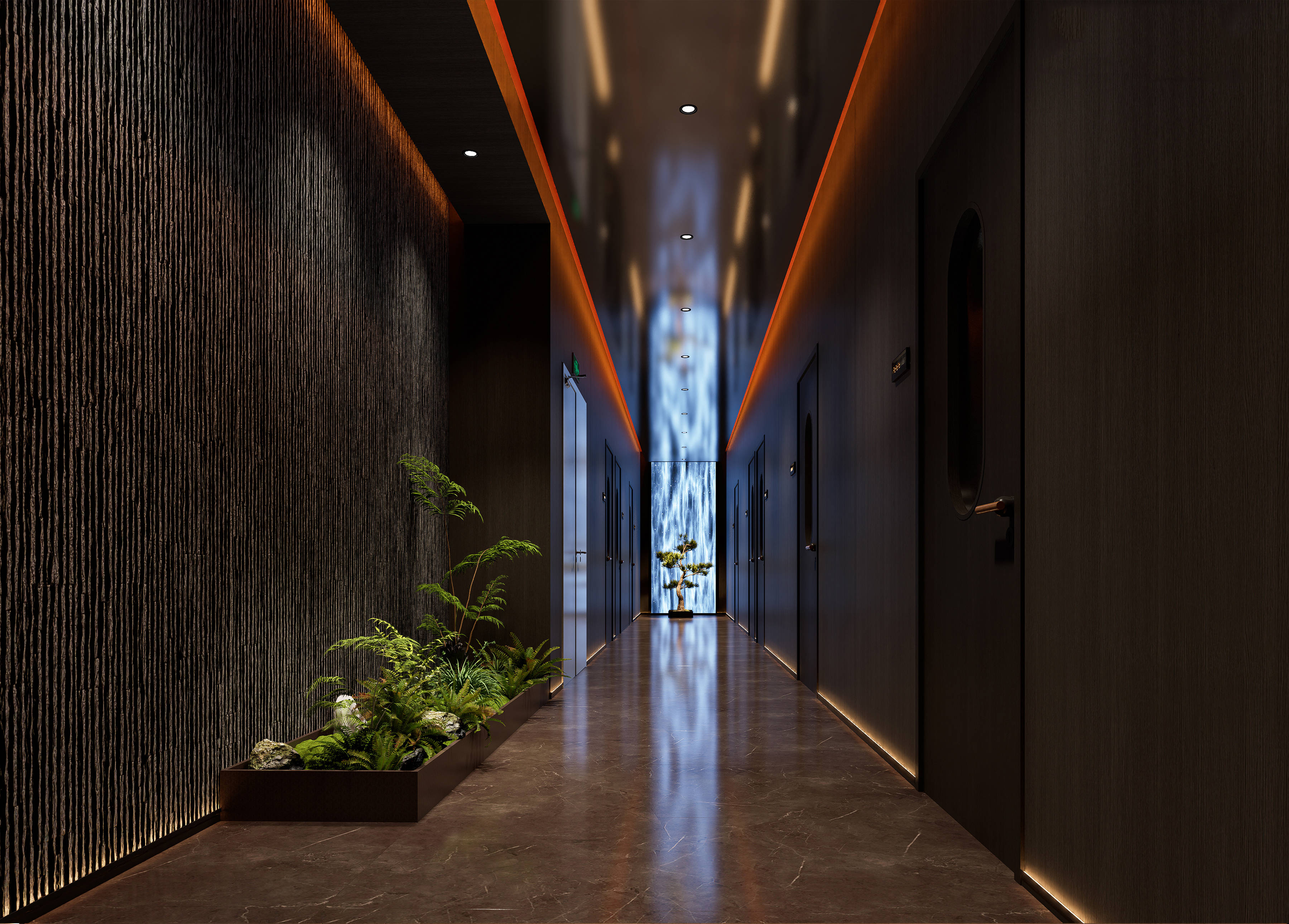 6SP558.jpg