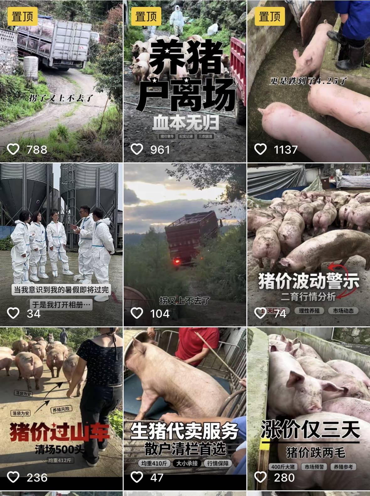 微信图片_2026-08-31_185559_926.jpg