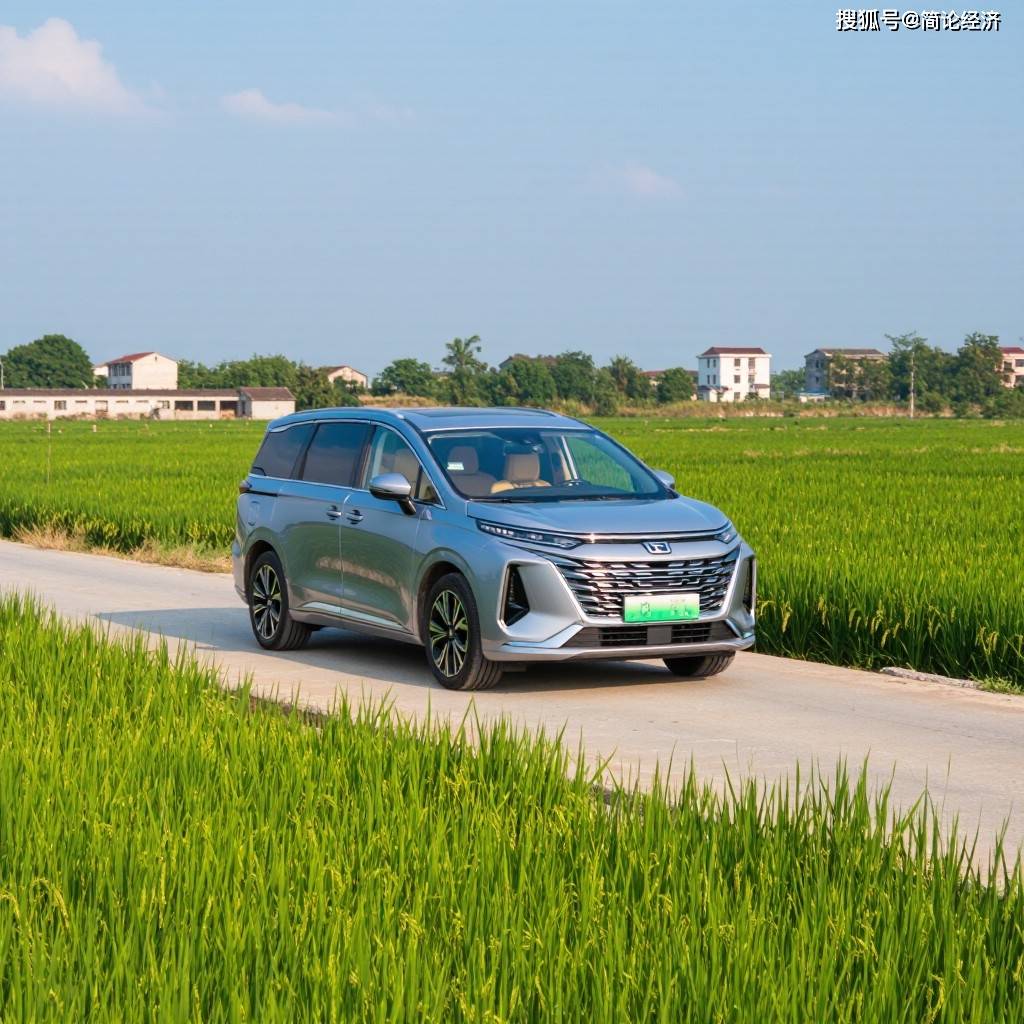 kling_20261022_文生图_乡间柏油路_传祺_M_3639_2.jpg
